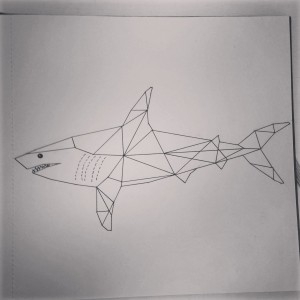 geometric shark sketch